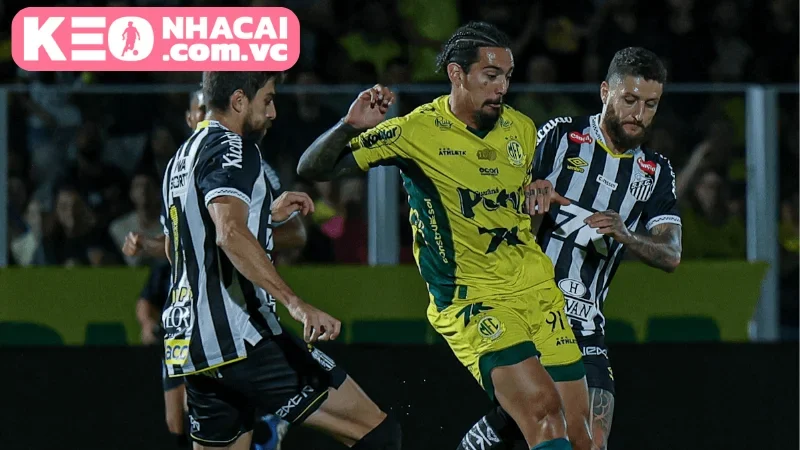 Cập nhật đội hình và lực lượng