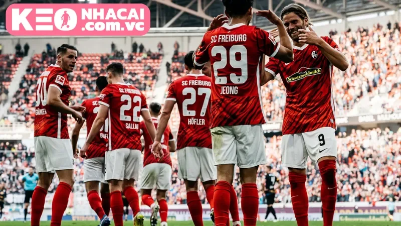 Phân tích chuyên sâu phong độ và lực lượng của cặp trận Freiburg vs Utrecht