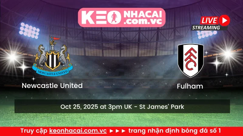Newcastle United vs Fulham