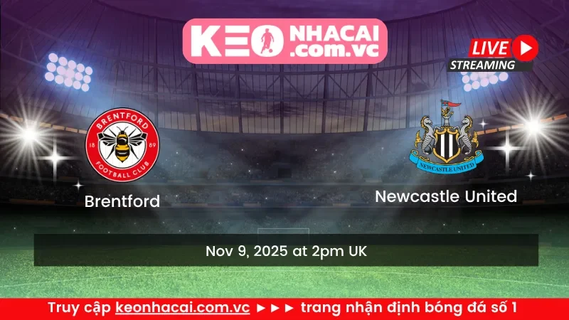 Brentford vs Newcastle United