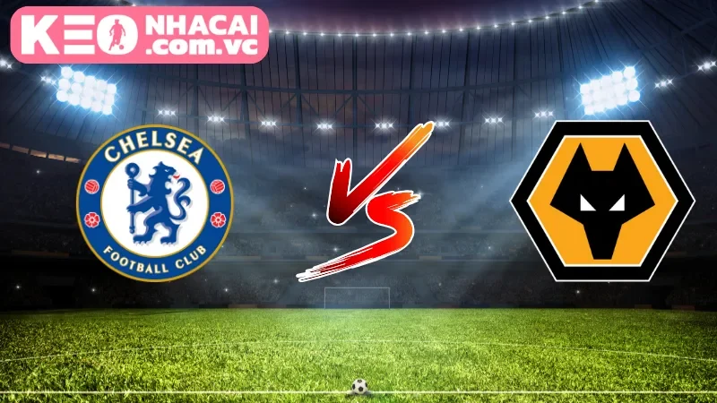 Cái nhìn tổng quan về trận cầu Chelsea vs Wolverhampton Wanderers