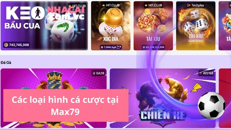 Các loại hình cá cược tại Max79
